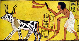 An Egyptian plow man.