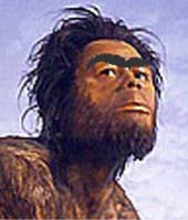 An artist's conception of early man