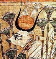 Isis/Hathor cow-goddess hiding in the papyrus swamps