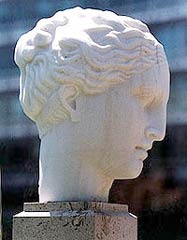 Classical Patrician Roman Profile