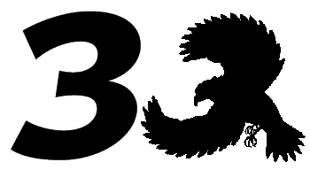 An image comparing a hawk silhouette and the number 3